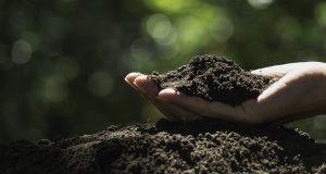 KEMA ülkenin verimli toprak alanlarının korunması hakkında açıklama yaptı