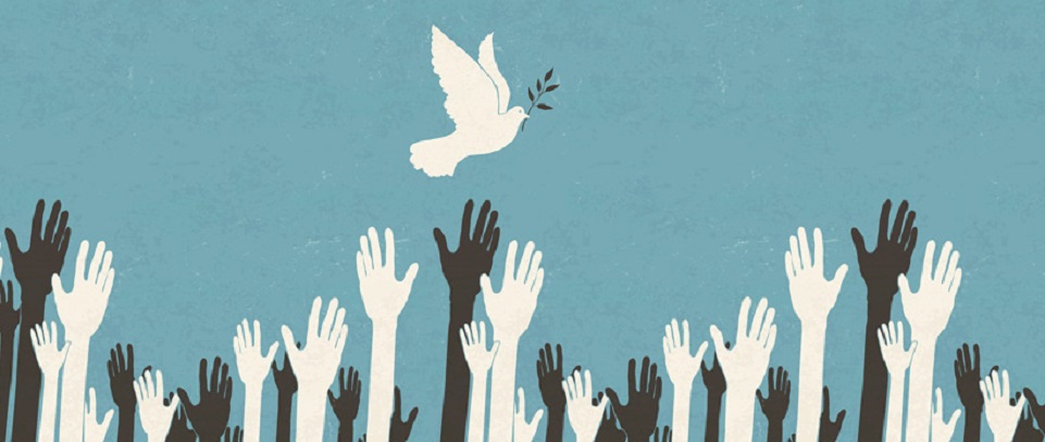 DAÜ-BAİM’den İsrail-Filistin savaşına ilişkin açıklama – BRTK