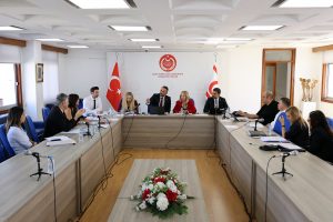 İdari, Kamu ve Sağlık İşleri Komitesi toplandı