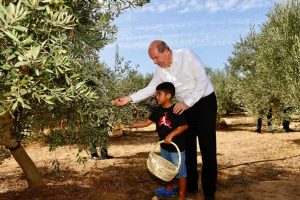 Cumhurbaşkanı Ersin Tatar, Zeytin Hasat Festivali’ne katıldı – BRTK