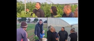 Bakan Çavuş, Maraş bölgesinde şiddetli rüzgar sebebiyle seralarda meydana gelen zararı inceledi – BRTK