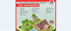 Girne Belediyesi, Asya Kaplan Sivrisineği ile ilgili ilaçlamaların devam ettiğini bildirerek vatandaşlara uyarıda bulundu