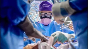 ABD’li cerrahlar dünyanın ilk tüm göz naklini yaptı – BRTK