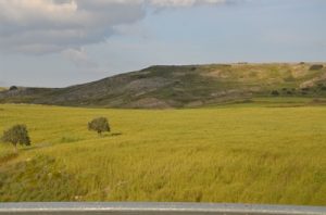 Alaniçi köyünde yarın “Tahıl Alanlarında Görülen Hastalık ve Zararlıları” konulu eğitim düzenlenecek – BRTK