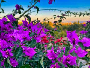 “KKTC’nin güzelliklerini kendi gözümden paylaşmak çok anlamlı” – BRTK