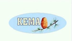 “Ağaçlandırmalara hız verilmeli ve orman alanları artırılmalıdır” – BRTK