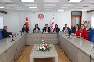 “Ülkemizdeki Yükseköğretim Kurumlarının Faaliyetlerinin İdari ve Mali Denetim Sisteminin ve YÖDAK’ın Araştırılmasına İlişkin Meclis Araştırma Komitesi” toplandı