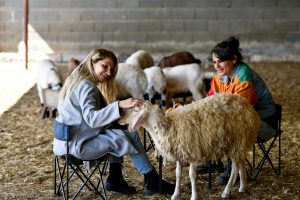 Çiftçi ve hayvan yetiştiricisi Fatma Akmandor:Kadının elini kolunu bağlasanız bile yine bir şeyler bulur, üretir
