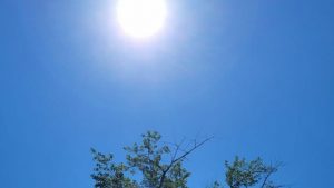 Hava sıcaklığı hafta boyunca 29-32 derece dolaylarında olacak