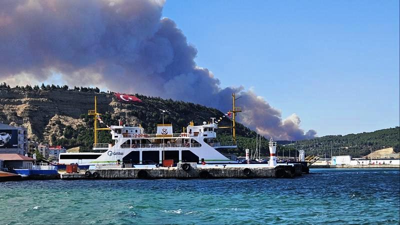 Çanakkale’de orman yangını