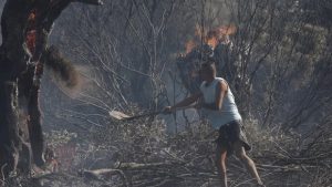 Limasol’da büyük yangın!