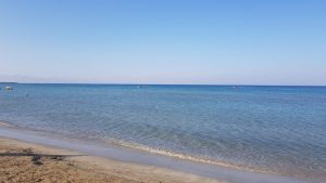 “59 plajdan dördünün değerleri ‘iyi’ diğerleri ‘mükemmel’”