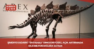 Şimdiye kadarki “en pahalı” dinozor fosili, açık artırmada 44,6 milyon dolara satıldı