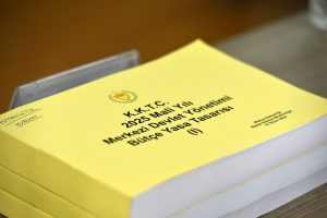 Başbakan Yardımcılığı, Turizm, Kültür, Gençlik ve Çevre Bakanlığı bütçesi komitede onaylandı