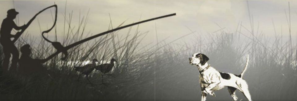 Turnalar köyünde kanunsuz avlanma… Bir kişi hakkında yasal işlem başlatıldı