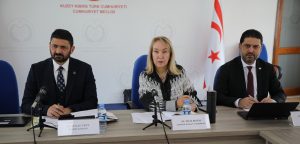 İdari, Kamu ve Sağlık İşleri Komitesi Sosyal Hizmetler Dairesi Yasa Tasarısı’nı görüşmeye devam etti