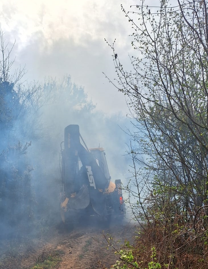 Türkiye’nin Yalova ilinde ormanlık alanda yangın…