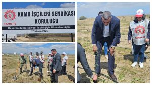 Çayönü köyünde “Kamu İş Koruluğu” oluşturuldu