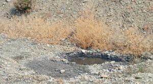 Lefke Çevre ve Ekoloji Derneği’nden lağım suları sorununa kalıcı çözüm çağrısı