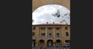 Posta Dairesi’nde örgütlü sendikalar yarın greve gidiyor