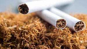 Baf Havaalanı’nda ve bir depoda kaçak tütün ürünleri tespit edildi