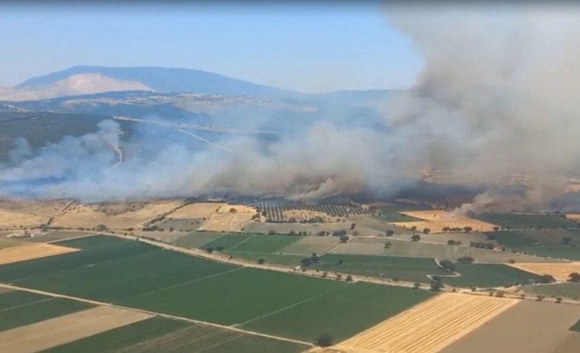 İzmir’de orman yangını