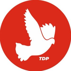TDP: “TMK’ya yeterli bütçenin ayrılması için tedbir alması gerek”