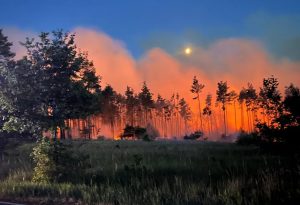 Almanya’da çıkan iki büyük orman yangını devam ediyor