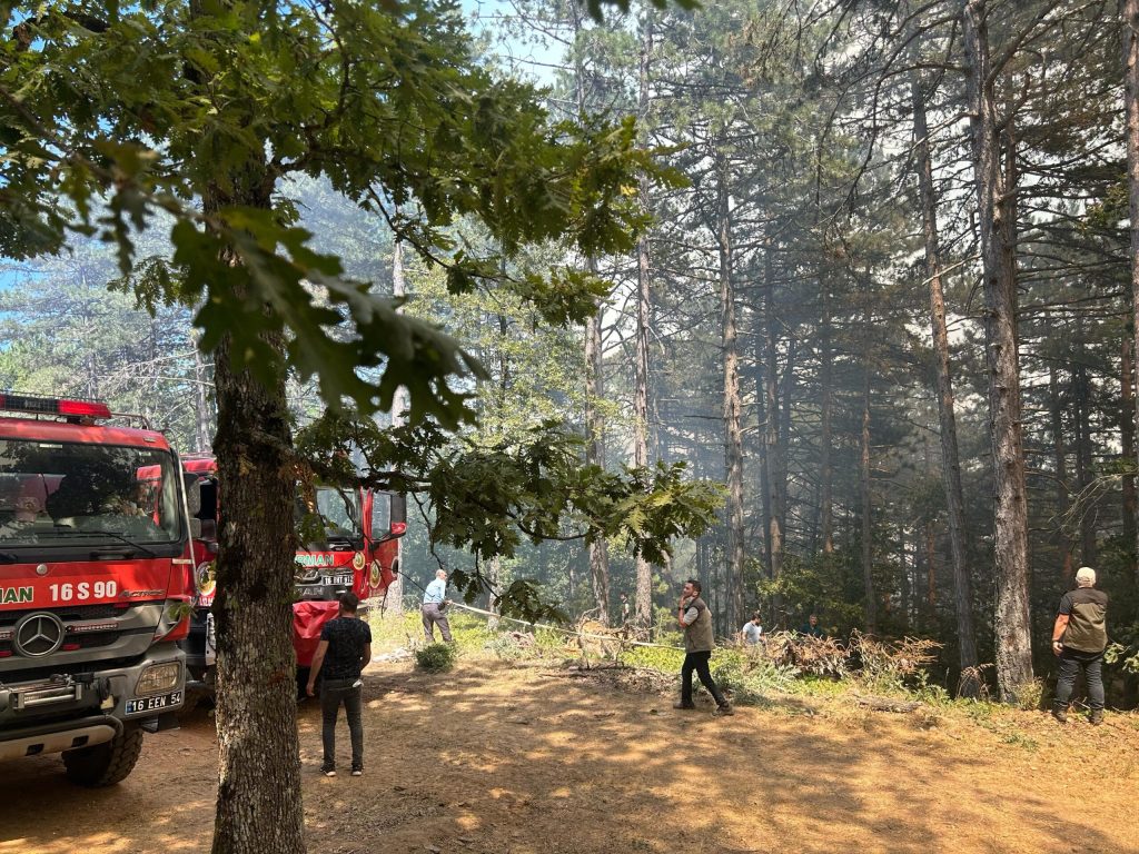 Bursa’nın 2 ilçesinde çıkan orman yangınına müdahale ediliyor