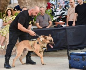 Suçluların korkulu rüyası “süper burun” dedektör köpekler her an göreve hazır