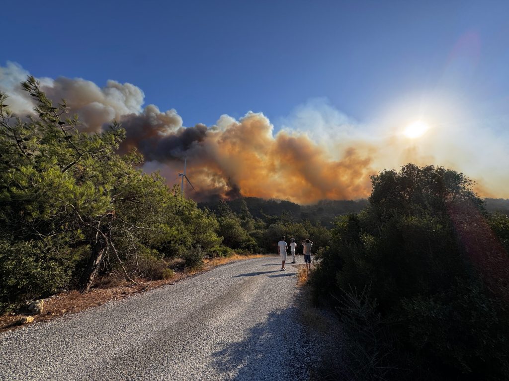 İzmir’in Urla ilçesinde orman yangını