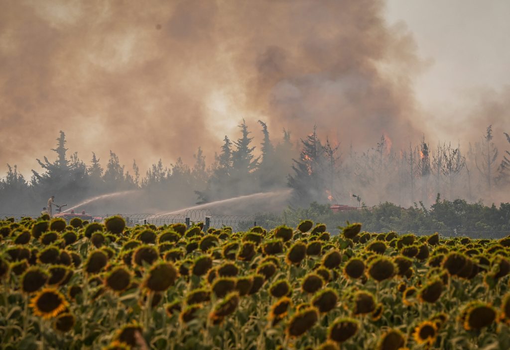 Tekirdağ’da çıkan orman yangını Çanakkale’ye sıçradı