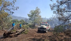 Cahitoğlu: Yapılan hızlı müdahale ile yangın kontrol altına alındı