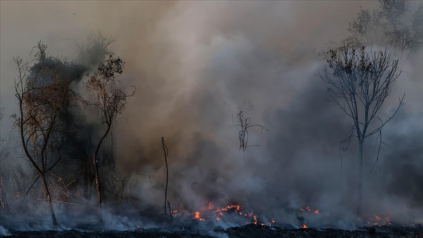 İtalya’da farklı noktalardaki orman yangınları hayatı olumsuz etkiledi