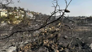 Limasol yangınının maddi hasarı 70-100 milyon Euro arasında: Adanın yüzde 1,3’ü yandı