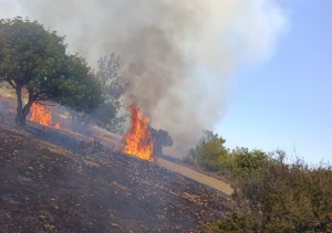 Esentepe-Karaağaç bölgesinde yangın