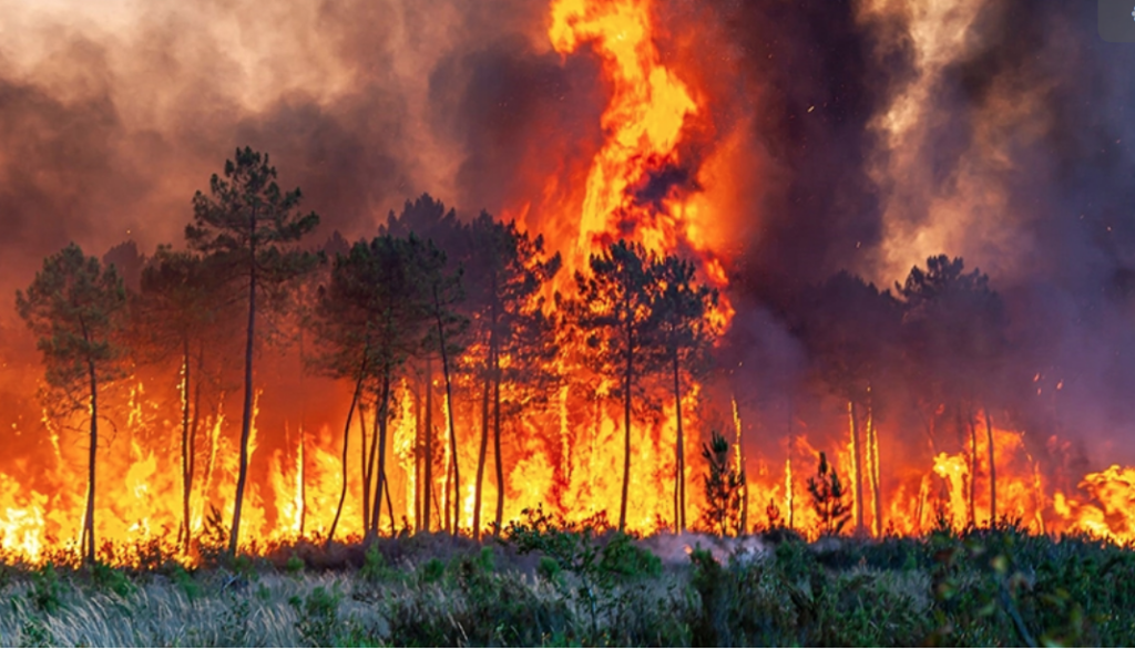 Avrupa’nın yer yer yüksek sıcaklık ve yangınlarla mücadelesi sürüyor