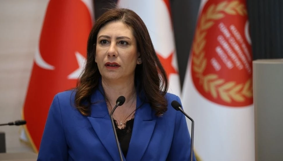 Sıla Usar İncirli: Siz kahraman falan değilsiniz, devlet zararlısısınız