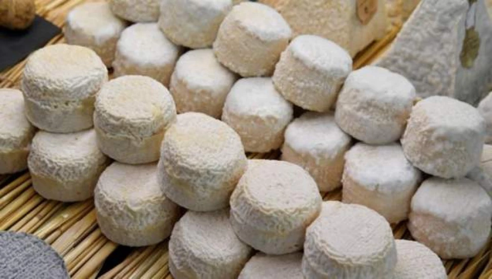 Güney’de “İncir ve Halicia Festivali”nde Kuzey’den ürün kullanıldığı iddiası tartışma yarattı