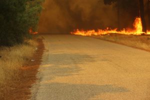 Çanakkale’de orman yangını