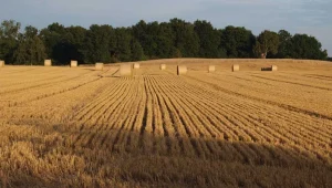 Genel Tarım Sigortası Fonu, don zararı gören 95 üreticiye 17,9 Milyon TL tazminat ödedi
