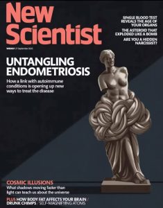 Kıbrıslı Türk biliminsanı Nilüfer Rahmioğlu’nun çalışması New Scientist dergisine kapak oldu