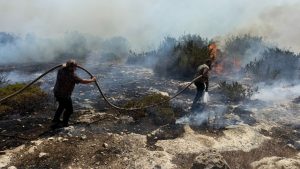 Akdeniz Köyü’nde yangın: Söndürme çalışmaları devam ediyor