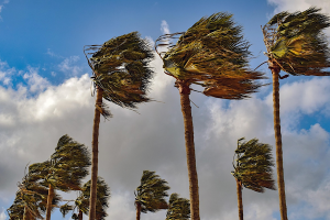 Meteoroloji Dairesi karada ve taurusta etkili olacak fırtınamsı rüzgar uyarısında bulundu