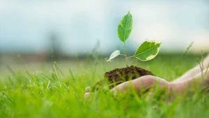 Tabipler Birliği: Çevre sağlığını ve temiz havayı korumak ortak sorumluluğumuz