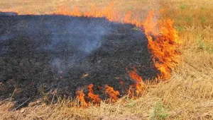 Polis uyardı: Anız yakmak suçtur
