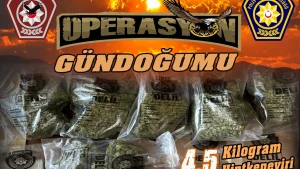 Uyuşturucu ve hırsızlık olaylarına yönelik polis operasyonlarında 6 kişi tutuklandı