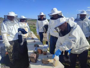 Arıcılar Birliği’nden yeni yıl mesajı