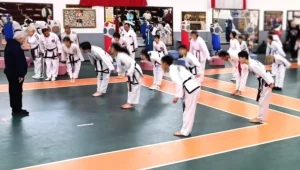 Rauf Raif Denktaş anısına Taekwondo Karate Budo Şampiyonası düzenlendi