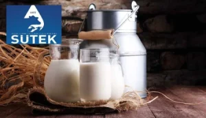 Süt bedelleri ödendi